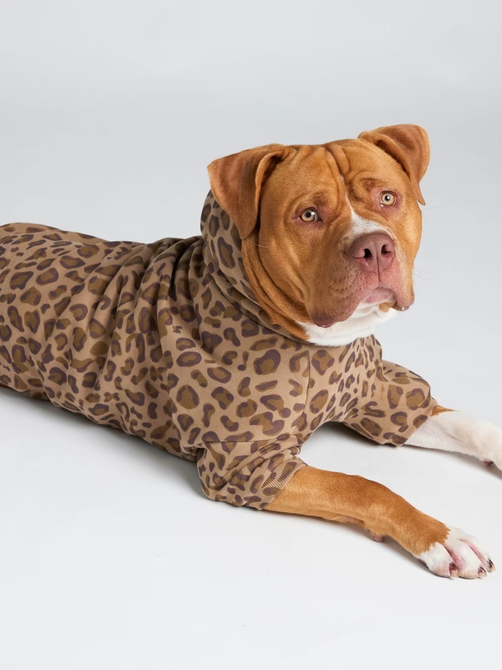Comfrt Minimalist Paw Hoodie in Brown Leopard